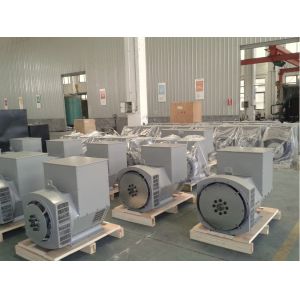 Factory Three Phase Brushless Synchronous AC Alternator Manufacturer