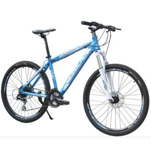 Foldable Carbon Fiber Mountain Bicycle