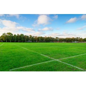 SGS Approved Plastic 9000 Dtex Artificial Turf Grass Eco-Friendly