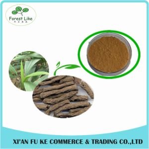 Natural Plant Powder Curcoligo Orchioides Extract 5:1 - 10:1