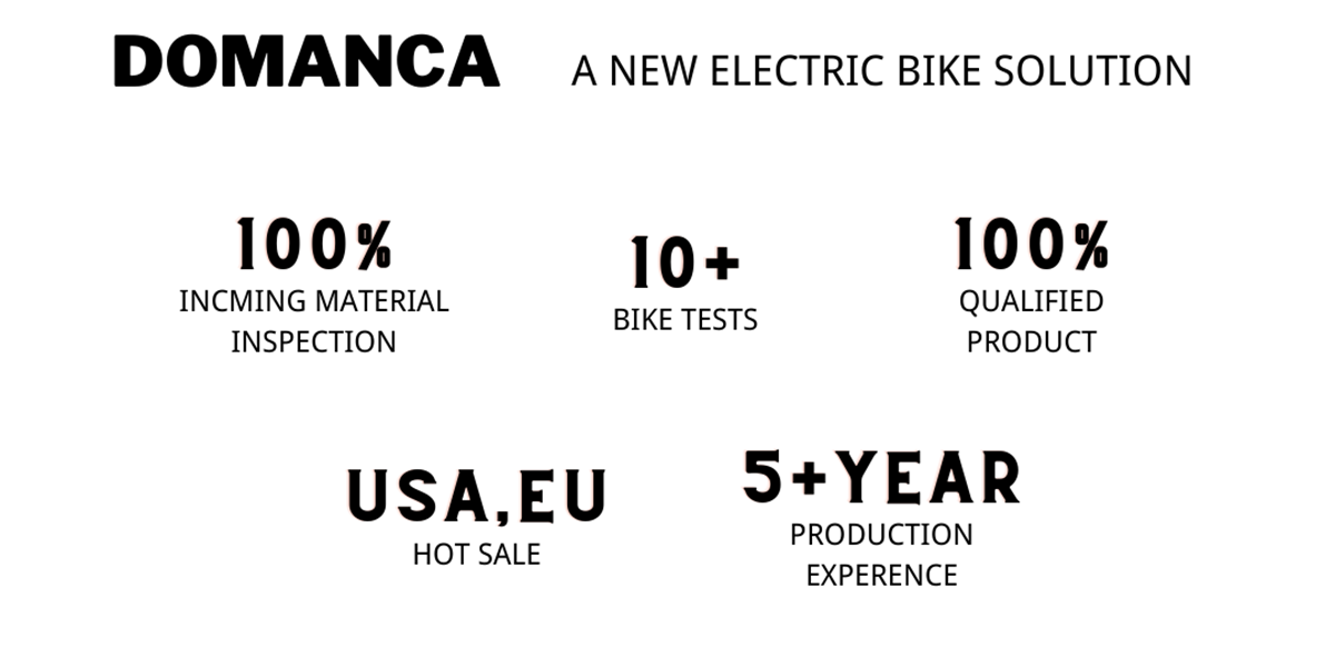 DOMANCA 2024 Electric Bike 7 Speed E bike with Rear Hub Motor and Max Speed of 30-50Km/h