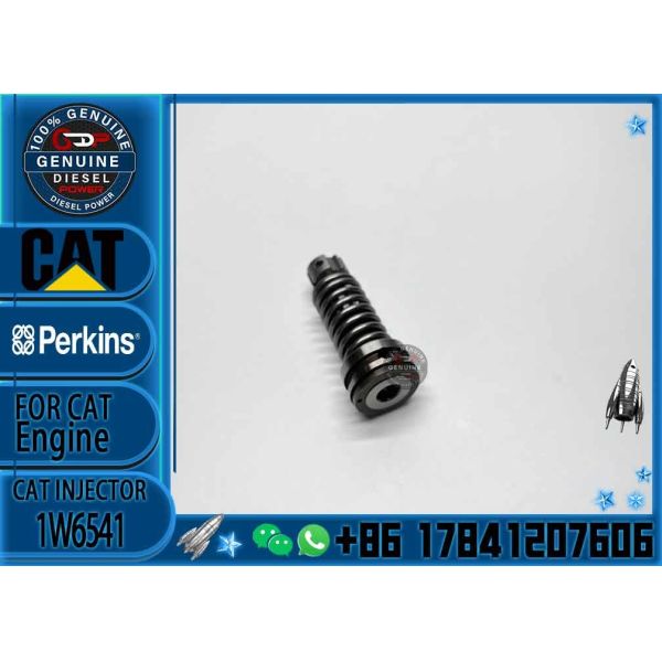 4P9830 1W6541 CAT 3306 Diesel Common Rail Plunger 4P9830 1W6541