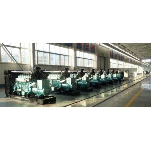 Natural gas power generator at factory price