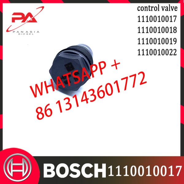 1110010017 Common Rail Fuel Pressure Relief Valve 1110010018 1110010019
