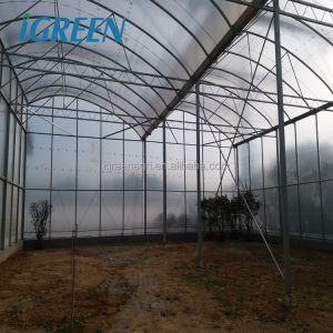 Customized Poly Tunnel Greenhouse Multi Span Agricultural polycarbonate tunnel