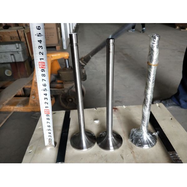 Buy Customization 118KG W12V190.03.01 Intake Valve for 500kw Natural Gas Generator Shengdong at wholesale prices