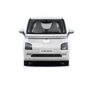 2023 Wuling Air Ev Range 300km Mini Electric Cars