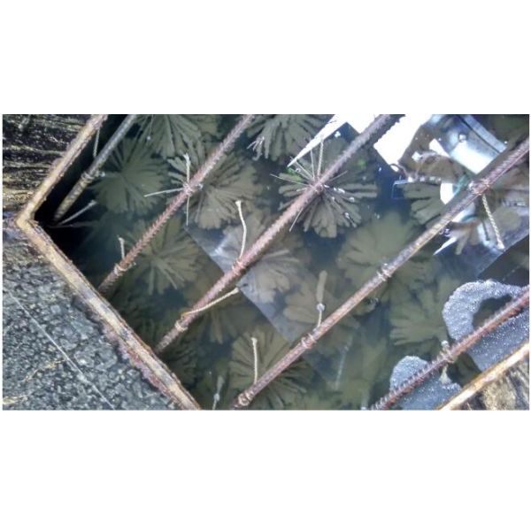 Fully Functional Municipal Wastewater Treatment Plant for Sewage Reuse and Treatment