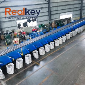 Advanced Durable Sorter Conveyor System Conveyor Belt Sorter OEM/ODM