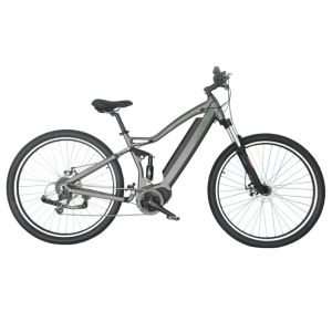 China Aluminum Alloy Electric Assist Mountain Bike Lithium Battery LCD Display on sale