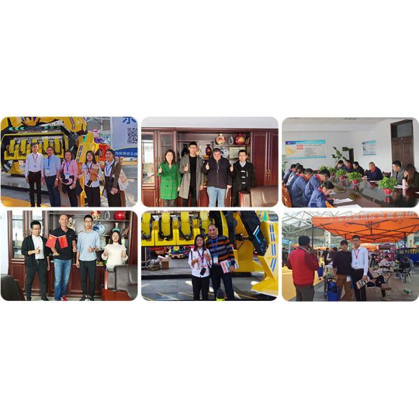 Factory price rides attraction electric self-control bee rides for amusement