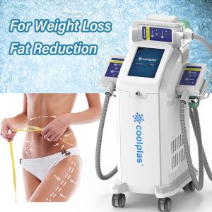 Quality Weight Loss Cryolipolysis Slimming Machine Fat Reduction With 3 Handles for sale