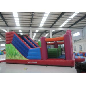 Clown Theme Water Bouncy Castle , Outdoor Amusement Adult Slip And Slide
