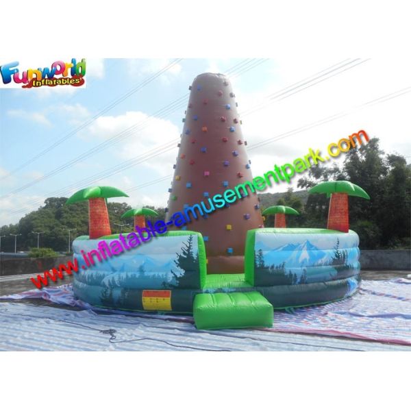 Buy Customized Inflatable Climbing Wall , inflatable rock wall With Jungle at wholesale prices