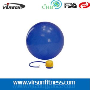 High quality professional gymnastic ball/gym ball/gym yoga ball