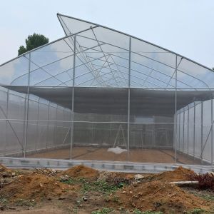 OEM Hydroponic Tunnel Plastic Greenhouse Galvanizing Steel Farm Supply