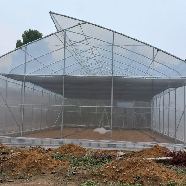 Buy OEM Hydroponic Tunnel Plastic Greenhouse Galvanizing Steel Farm Supply Greenhouse at wholesale prices