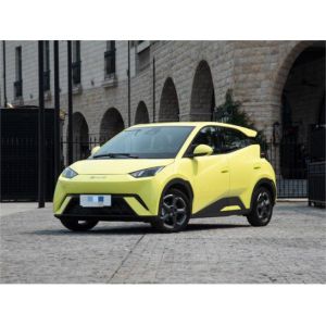 Yellow Byd Seagull Hatchback Vehicle Automobile Pure Electric 5 Seat