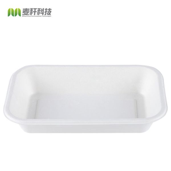 Biodegradable container, Disposable dining box for sugarcane pulp rectangular