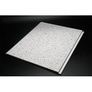 Integrated Pvc Kitchen Wall Panel With Point Pattern , non-flammable