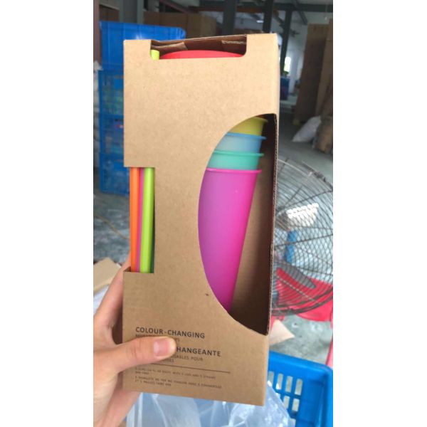 Reusable Color Changing Cold Cups Summer Magic Plastic Coffee tumbler With Straws Set of 5