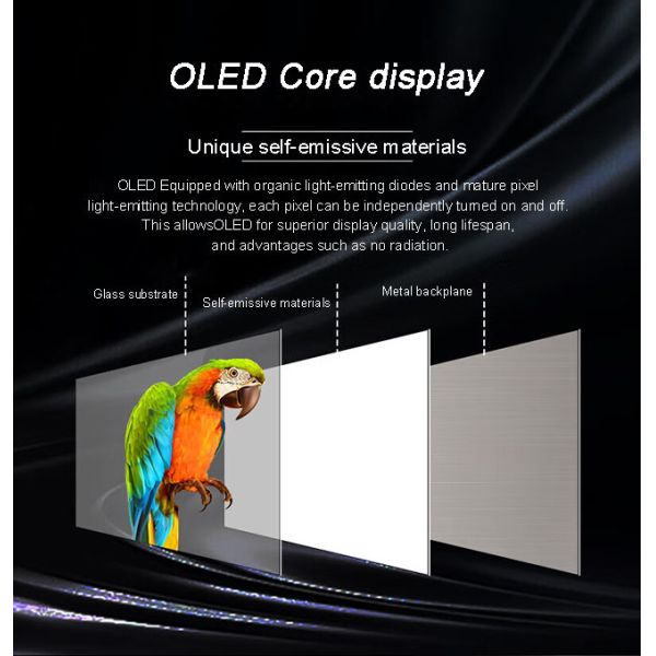 Educational Use Transparent OLED Screen High Brightness Clear OLED Display
