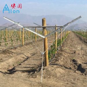 Recyclable Orchard Trellis Systems Provides Complete Control Trellis Wires
