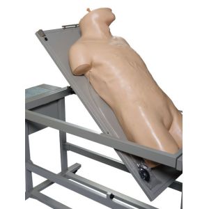 Comprehensive Puncture Clinical Simulation Various Postions for Hospitals