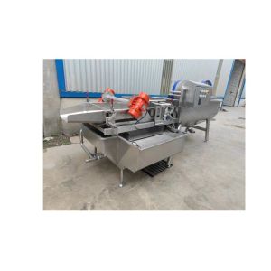mushroom canning processing line