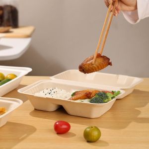 Biodegradable takeaway food packaging bento lunch boxes fast food takeaway