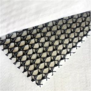 Geocomposite Drainage GEONET Composite Drain Net with CE/ISO9001/ISO14001
