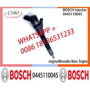 Diesel Common Rail Injector 0445110045 0445110046 0445110069 0445110070
