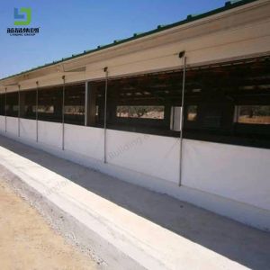 Prefabricated Steel Structure Metal Chicken Layer Broiler Poultry Farm House