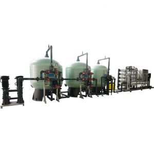 1kW Water Purification Industrial Ro Plant Automatic Osmosis Reverse Water