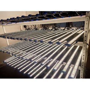 Agriculture 100w Ed Hydroponic Led Grow Lights