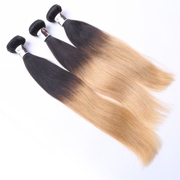 8-30 Inches Human Hair Extension Ombre Color Silky Straight Brazilian Hair Weft