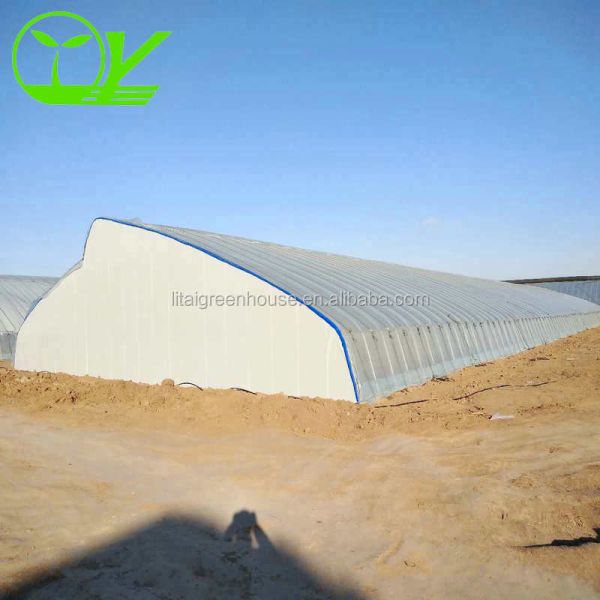 Budget-Friendly Agricultural Plastic Film Greenhouse for Vegetable Fruits