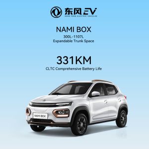 2023 DONGFENG Nami Box Energy Vehicle 4 Wheel Electric Car Adult Vehicle Made In
