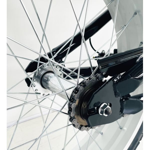 Gross Weight 25.0 KG 24-20" Single Speed Adult Chopper Bike with Steel Fork from OEM