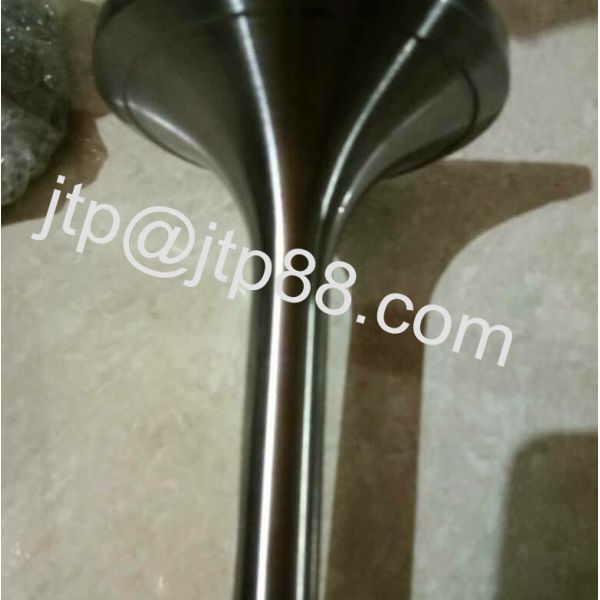 Isuzu 6VD1 24V Diesel Engine Valve / Intake Valve And Exhaust Valve 8-97015-546