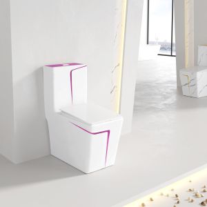 Square WC Siphonic Flush Sanitary Ware Toilet Self Cleaning Spray