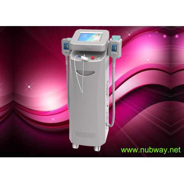 RF Frequency Cryolipolysis Slimming Machine