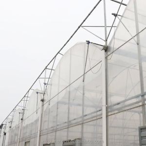 Multi Span Poly Film Greenhouse for Agriculture Optional Cooling and Irrigation