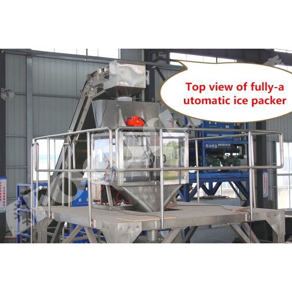 Sealing Bag Packing Machine for 1kg 5kg 10kg Ice Cubes Tubes Video Outgoing-Inspection