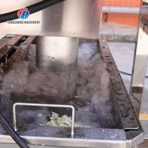 red beans mung beans green peas beans Potato Potatoes and round tuber crops