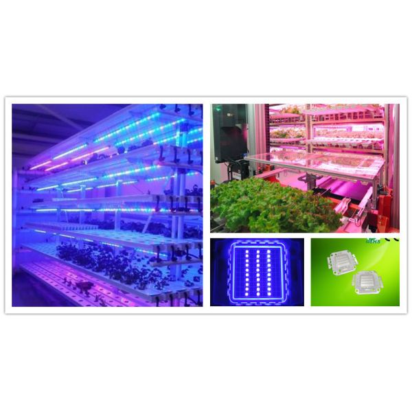 30w blue led application.jpg