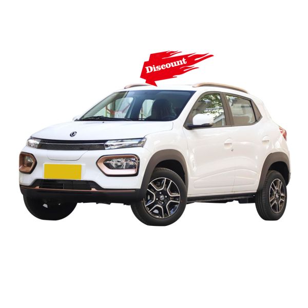 Discover the Perfect Combination of Style and Performance with Dolphin Electric Vehicles' 500cc Mini Car Araba Electrique Adulte