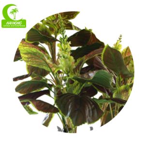 Anti Fading Height 200cm Artificial Decorative Trees HAIHONG