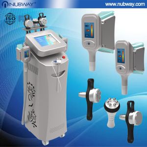 Best cryolipolysis for beauty salon use / wholesale cryolipolysis