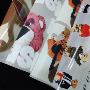 Hot Peel / Cold Peel DTF Printing Film 30cm 60cm Heat Transfer PET Film For T